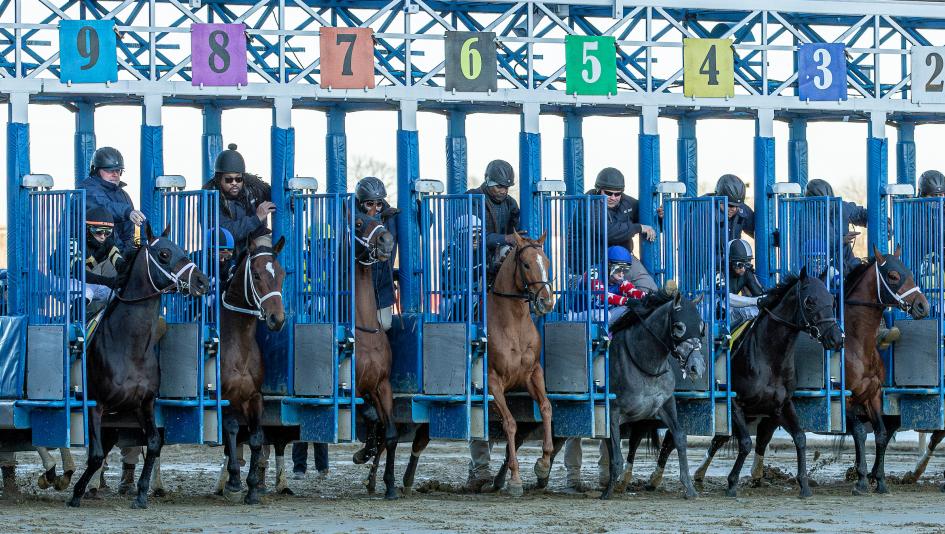 Withers Stakes, Aqueduct, Schoolyardsuperman, Chad Brown, America's Best Racing, ABR, horse racing